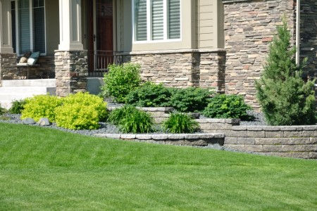 5 reasons hire professional landscaping company